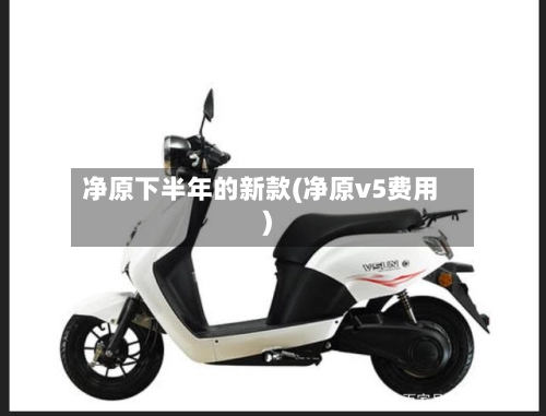 净原下半年的新款(净原v5费用)