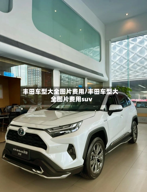 丰田车型大全图片费用/丰田车型大全图片费用suv-第3张图片