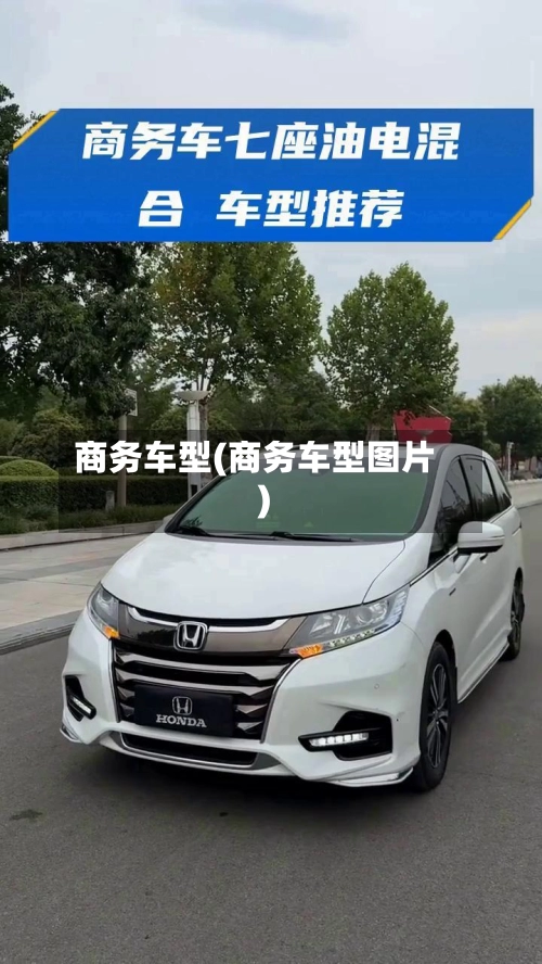 商务车型(商务车型图片)