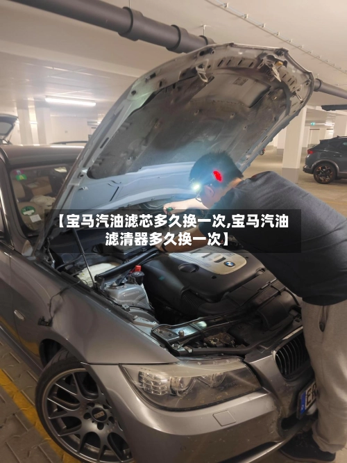 【宝马汽油滤芯多久换一次,宝马汽油滤清器多久换一次】-第2张图片