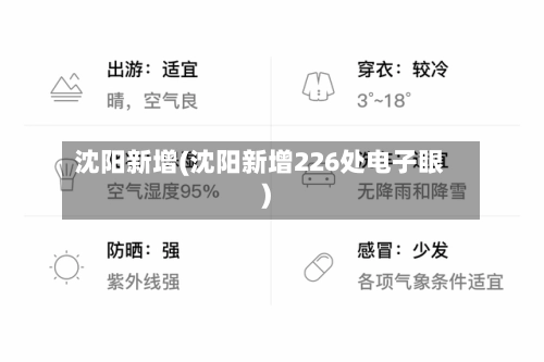 沈阳新增(沈阳新增226处电子眼)-第3张图片
