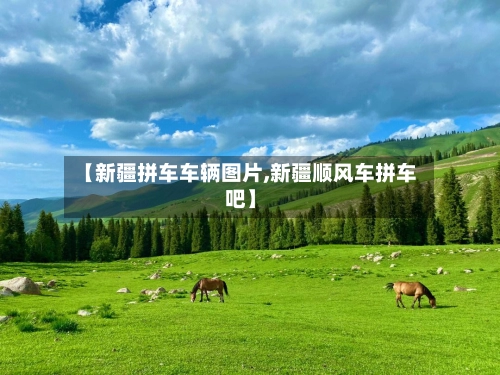 【新疆拼车车辆图片,新疆顺风车拼车吧】