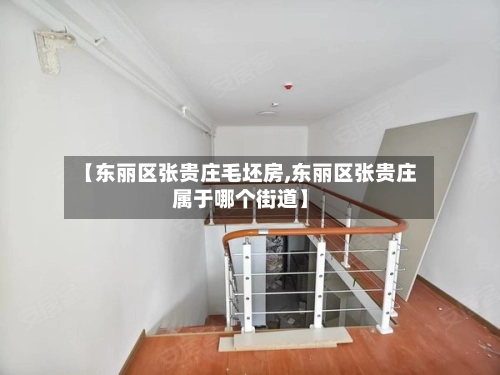 【东丽区张贵庄毛坯房,东丽区张贵庄属于哪个街道】-第2张图片