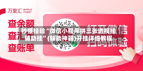 秒懂经验“微信小程序拼三张透视挂辅助挂	”(辅助神器)开挂详细教程-第3张图片