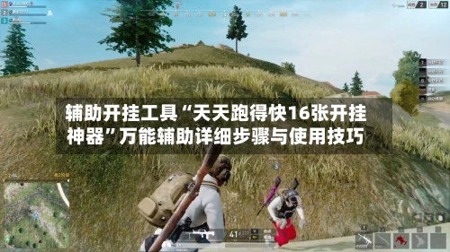 辅助开挂工具“天天跑得快16张开挂神器”万能辅助详细步骤与使用技巧-第3张图片