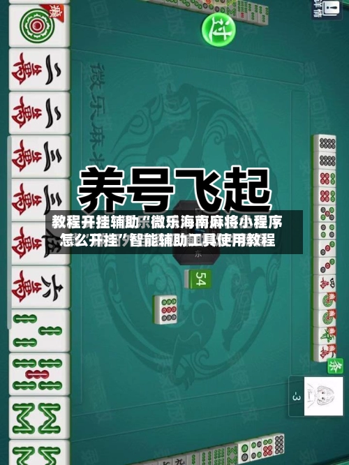 教程开挂辅助“微乐海南麻将小程序怎么开挂	”智能辅助工具使用教程-第2张图片