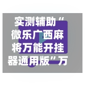 实测辅助“微乐广西麻将万能开挂器通用版”万能辅助详细步骤与使用技巧-第3张图片