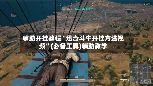 辅助开挂教程“迅奇斗牛开挂方法视频”(必备工具)辅助教学-第2张图片