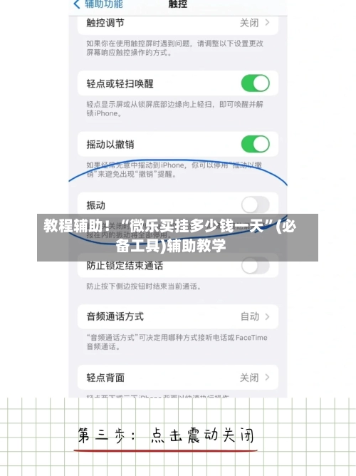 教程辅助！“微乐买挂多少钱一天”(必备工具)辅助教学-第3张图片