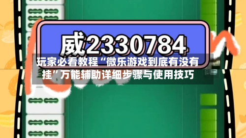 玩家必看教程“微乐游戏到底有没有挂”万能辅助详细步骤与使用技巧-第2张图片