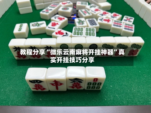 教程分享“微乐云南麻将开挂神器”真实开挂技巧分享-第2张图片
