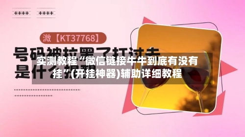 实测教程“微信链接牛牛到底有没有挂”(开挂神器)辅助详细教程-第2张图片