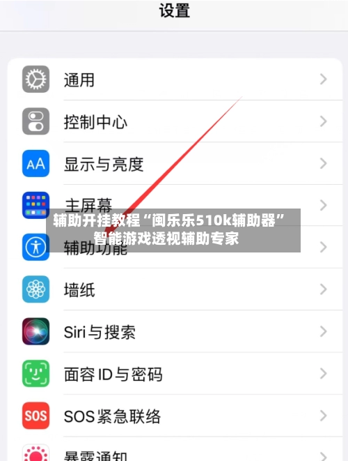 辅助开挂教程“闽乐乐510k辅助器”智能游戏透视辅助专家-第3张图片