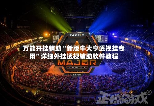 万能开挂辅助“新版牛大亨透视挂专用”详细外挂透视辅助软件教程-第2张图片