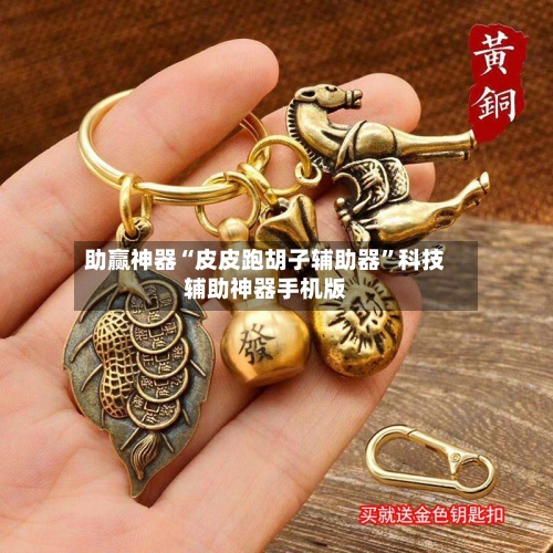助赢神器“皮皮跑胡子辅助器	”科技辅助神器手机版-第2张图片