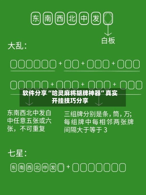 软件分享“哈灵麻将胡牌神器	”真实开挂技巧分享-第2张图片