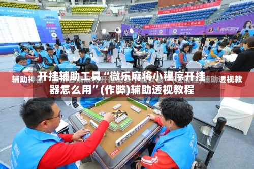 开挂辅助工具“微乐麻将小程序开挂器怎么用”(作弊)辅助透视教程-第3张图片