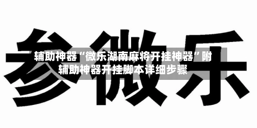 辅助神器“微乐湖南麻将开挂神器”附辅助神器开挂脚本详细步骤-第2张图片
