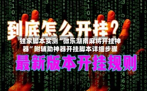 独家脚本实测“微乐湖南麻将开挂神器”附辅助神器开挂脚本详细步骤-第2张图片
