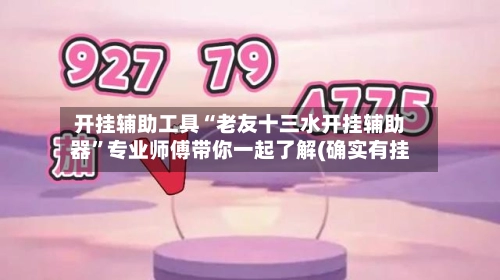 开挂辅助工具“老友十三水开挂辅助器”专业师傅带你一起了解(确实有挂-第2张图片