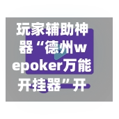 玩家辅助神器“德州wepoker万能开挂器”开挂神器{透视辅助}全揭秘-第3张图片