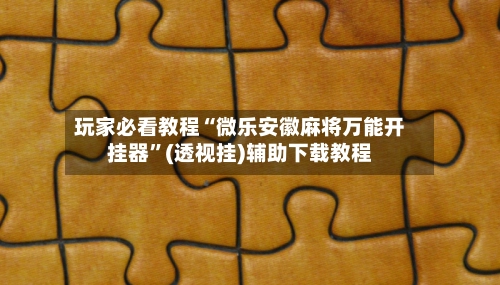 玩家必看教程“微乐安徽麻将万能开挂器	”(透视挂)辅助下载教程-第2张图片