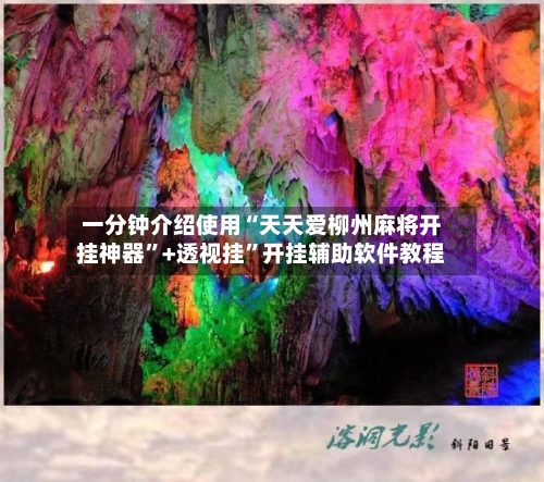 一分钟介绍使用“天天爱柳州麻将开挂神器	”+透视挂”开挂辅助软件教程-第3张图片