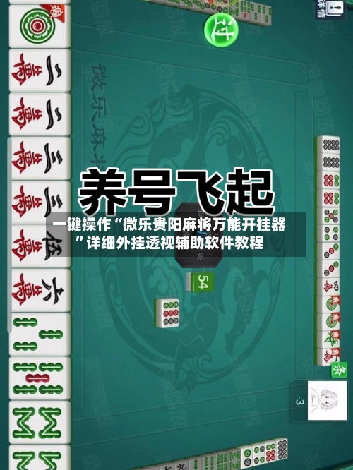 一键操作“微乐贵阳麻将万能开挂器”详细外挂透视辅助软件教程