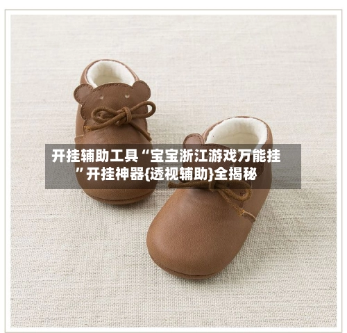 开挂辅助工具“宝宝浙江游戏万能挂”开挂神器{透视辅助}全揭秘-第2张图片