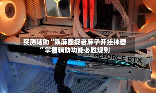 实测辅助“陕麻圈捉老麻子开挂神器”掌握辅助功能必胜规则-第2张图片
