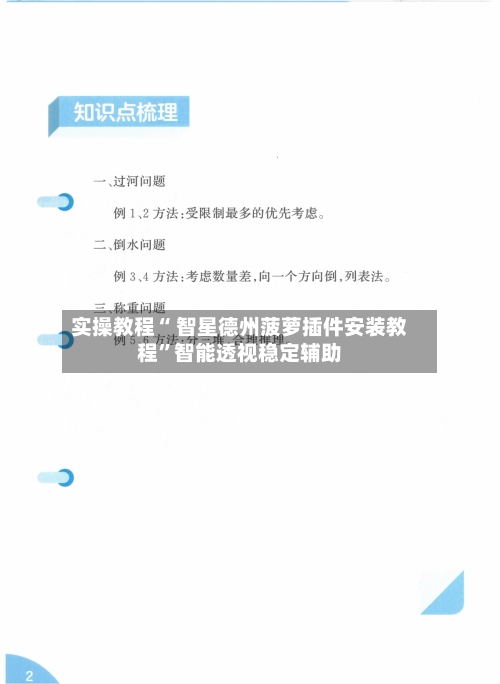 实操教程“ 智星德州菠萝插件安装教程	”智能透视稳定辅助-第3张图片