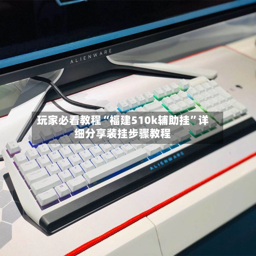 玩家必看教程“福建510k辅助挂	”详细分享装挂步骤教程-第3张图片
