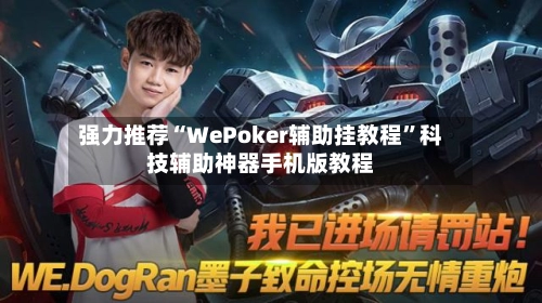 强力推荐“WePoker辅助挂教程	”科技辅助神器手机版教程-第2张图片
