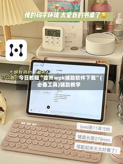 今日教程“德州wpk辅助软件下载”(必备工具)辅助教学-第2张图片