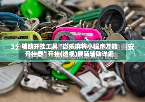 辅助开挂工具“微乐麻将小程序万能开挂器”开挂(透视)最新辅助详细-第3张图片