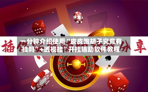 一分钟介绍使用“皮皮跑胡子究竟有挂吗”+透视挂”开挂辅助软件教程-第2张图片
