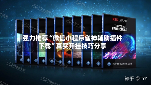 强力推荐“微信小程序雀神辅助插件下载”真实开挂技巧分享-第2张图片