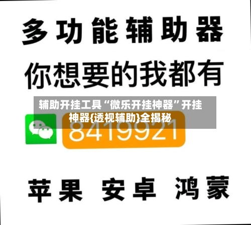 辅助开挂工具“微乐开挂神器”开挂神器{透视辅助}全揭秘-第3张图片