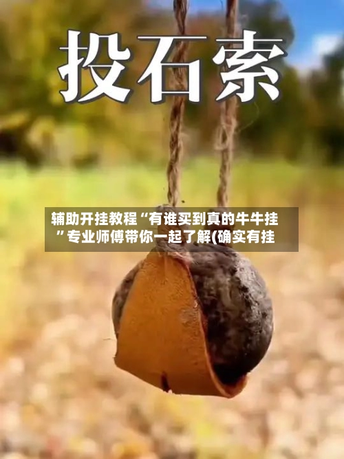 辅助开挂教程“有谁买到真的牛牛挂	”专业师傅带你一起了解(确实有挂-第2张图片