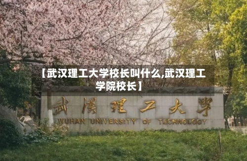 【武汉理工大学校长叫什么,武汉理工学院校长】-第3张图片