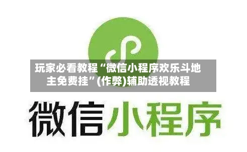 玩家必看教程“微信小程序欢乐斗地主免费挂”(作弊)辅助透视教程-第2张图片
