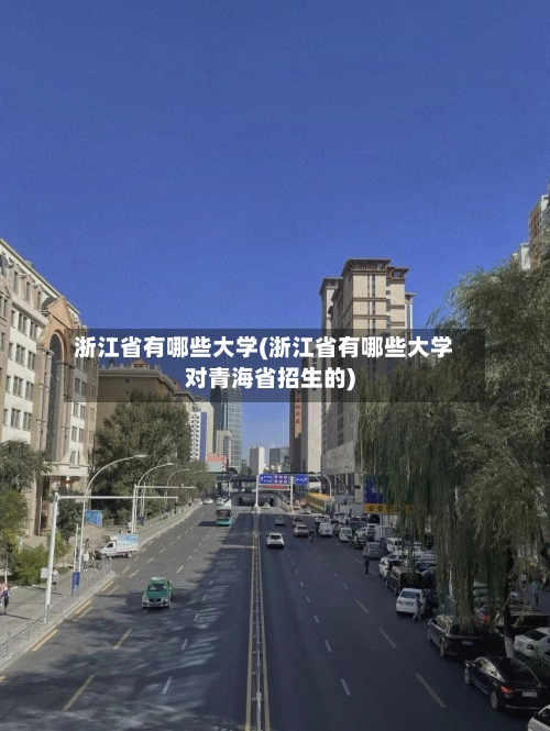 浙江省有哪些大学(浙江省有哪些大学对青海省招生的)