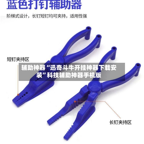 辅助神器“迅奇斗牛开挂神器下载安装”科技辅助神器手机版-第2张图片