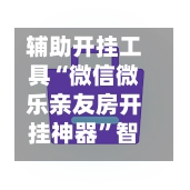 辅助开挂工具“微信微乐亲友房开挂神器”智能辅助工具使用教程-第2张图片