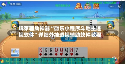 玩家辅助神器“微乐小程序斗地主透视软件”详细外挂透视辅助软件教程-第3张图片