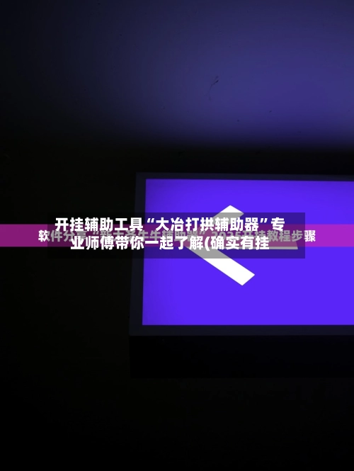 开挂辅助工具“大冶打拱辅助器”专业师傅带你一起了解(确实有挂-第2张图片