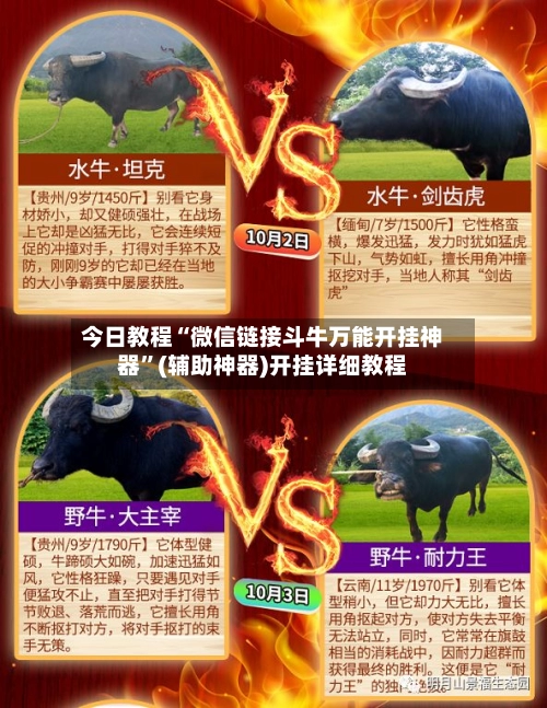 今日教程“微信链接斗牛万能开挂神器”(辅助神器)开挂详细教程