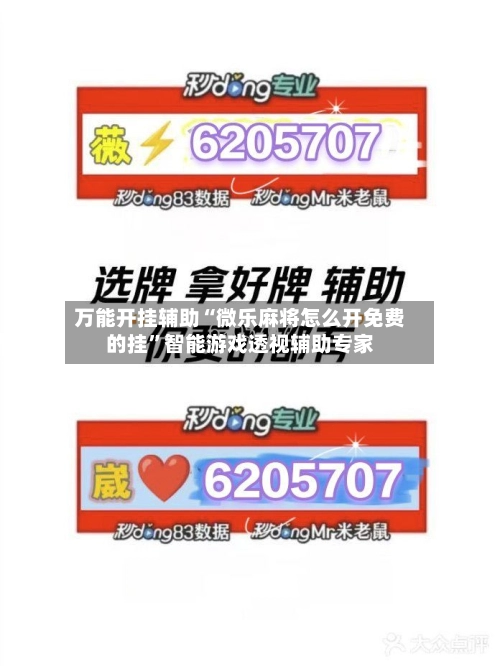 万能开挂辅助“微乐麻将怎么开免费的挂”智能游戏透视辅助专家-第2张图片