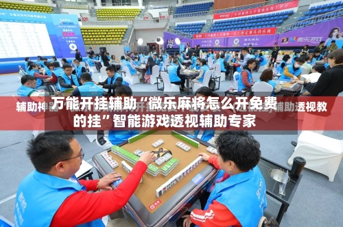 万能开挂辅助“微乐麻将怎么开免费的挂”智能游戏透视辅助专家-第3张图片