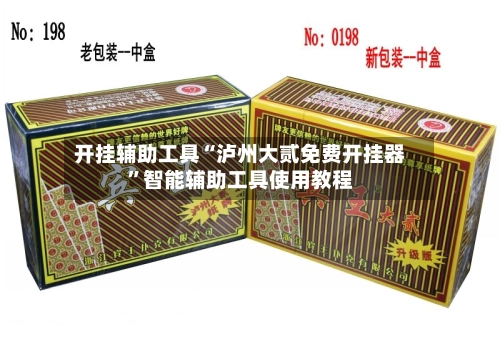 开挂辅助工具“泸州大贰免费开挂器”智能辅助工具使用教程-第2张图片